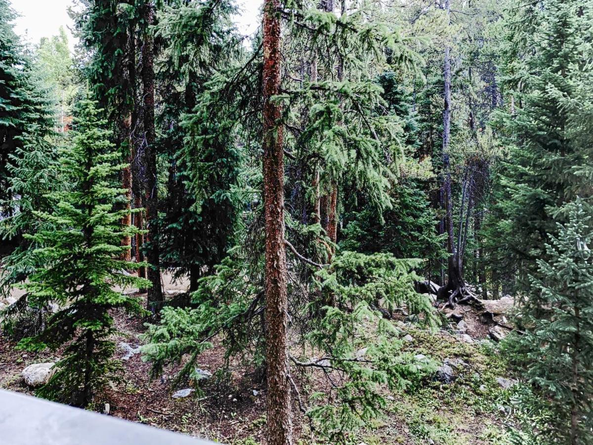 Powderhorn C202 Condo Breckenridge Kültér fotó